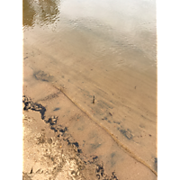 Williamsburg/James Cty King Tide image